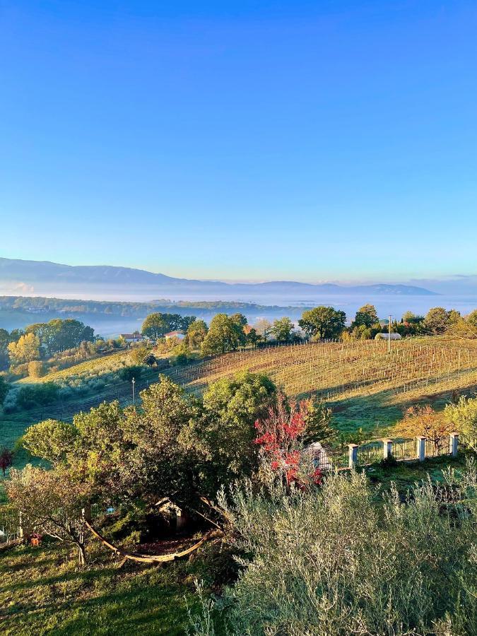 Donna Vittori - Borgo Agricolo Aparthotel Paliano Bagian luar foto