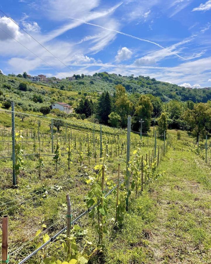 Donna Vittori - Borgo Agricolo Aparthotel Paliano Bagian luar foto