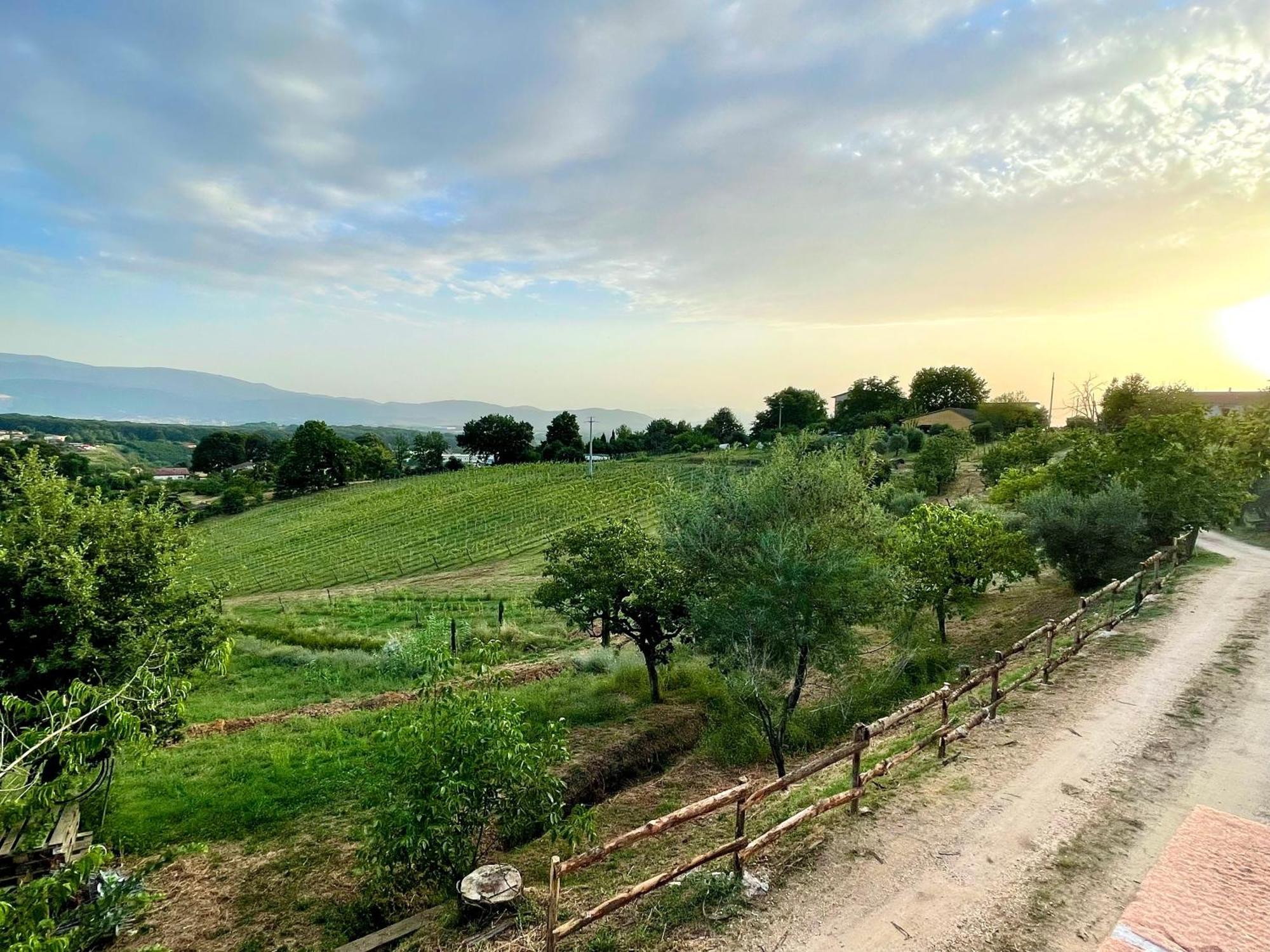 Donna Vittori - Borgo Agricolo Aparthotel Paliano Bagian luar foto